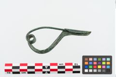 Foto von Bronzezweiknopffibel (NHMW-PRAE-024061)